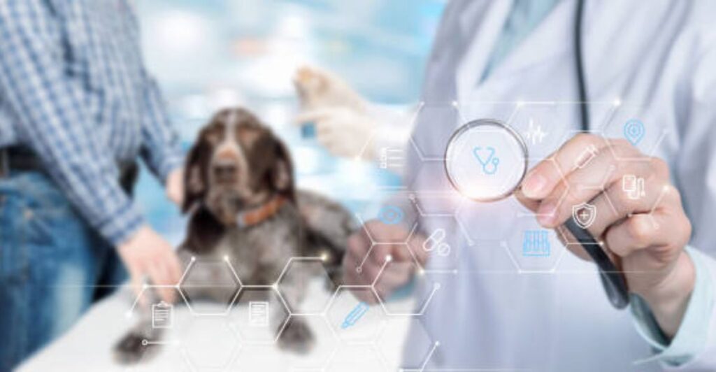 7 Reasons Why Virtual Vet Consultations Are Transforming Pet Care in 2025