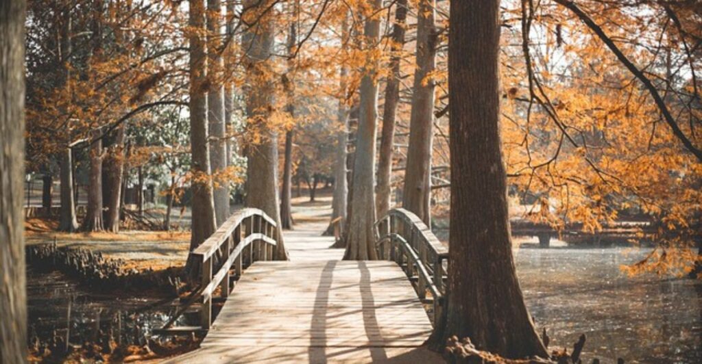 3 Budget-Friendly Ways to Light Up Your Garden Path Without Electricity