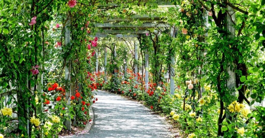 12 Inspiring Garden Path Designs Using Painted Glow Stones