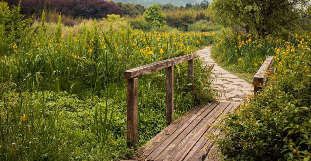 3 Budget-Friendly Ways to Light Up Your Garden Path Without Electricity