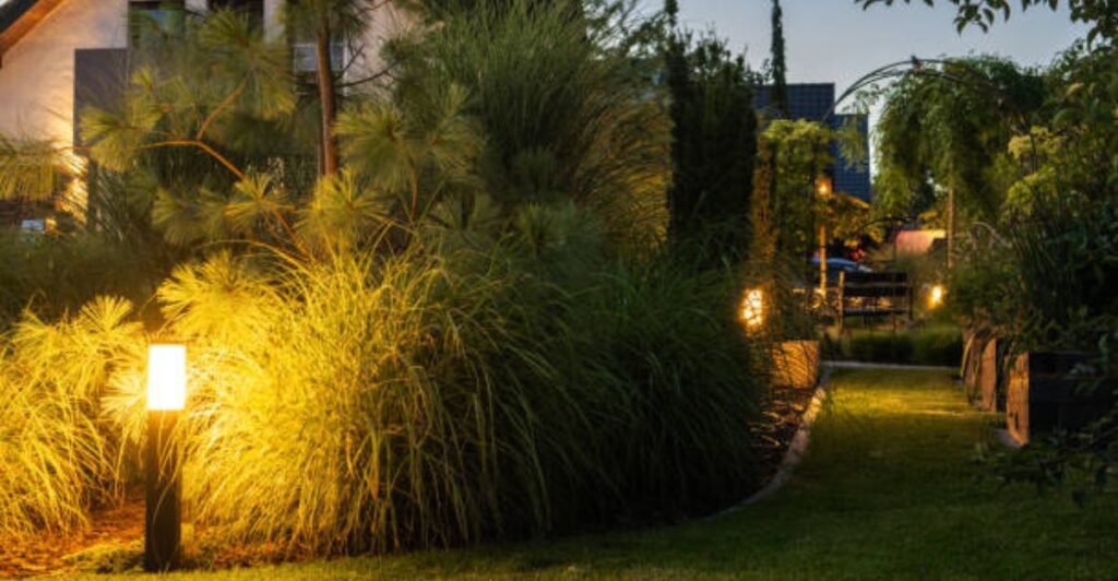 11 Backyard Trees That Shine Bright with Wrapped Lights