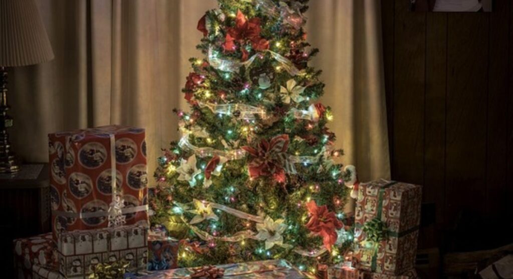 10 Tree-Wrapping Light Ideas for a Woodland Glow (+5 Mistakes to Avoid)