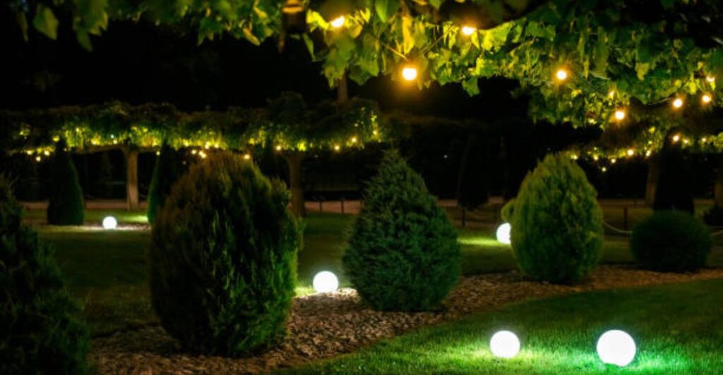 11 Backyard Trees That Shine Bright with Wrapped Lights