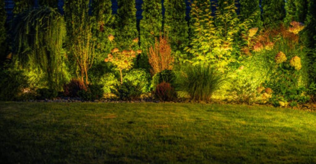 11 Backyard Trees That Shine Bright with Wrapped Lights