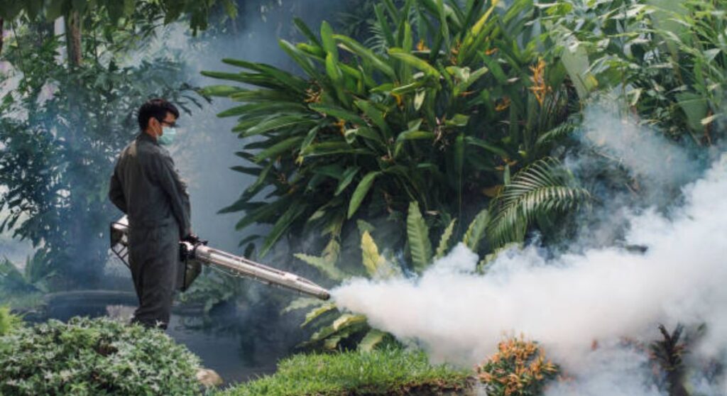 8 Effective Mosquito Control Tips for Gardens in the Monsoon Season