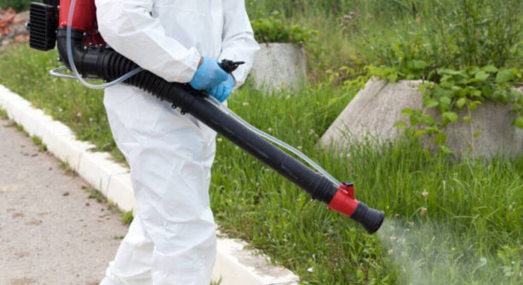8 Effective Mosquito Control Tips for Gardens in the Monsoon Season