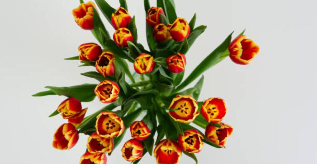🌿 12 Eco-Friendly Faux Floral Decor Ideas for a Greener Home