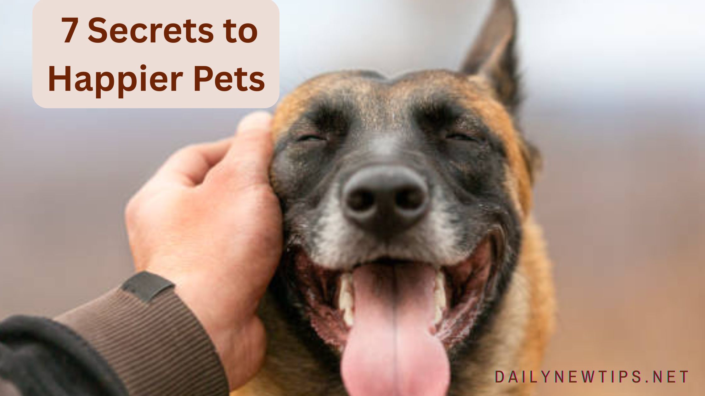 7 Secrets to Happier Pets