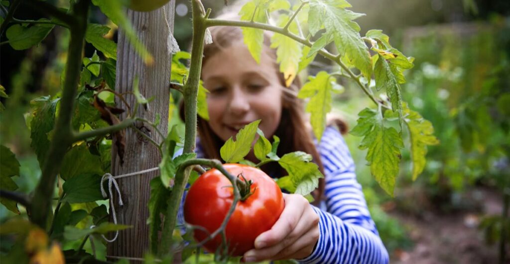 12 Creative Bathtub Garden Ideas for Kids’ Outdoor Learning
