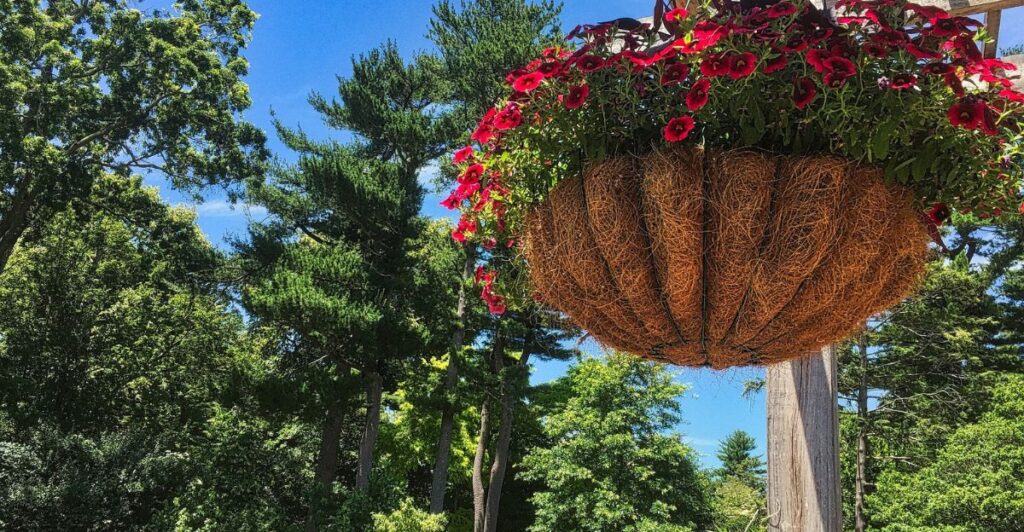 10 Beautiful Hanging Garden Ideas for Balconies & Patios
