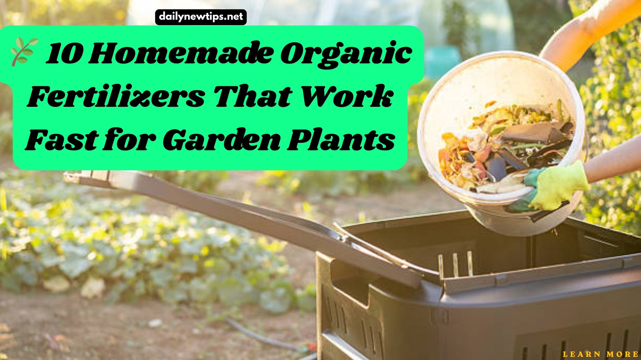 10 Homemade organic fertilizers for fast plant growth in home garden