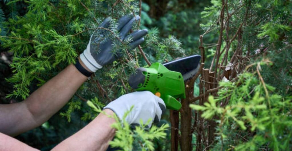 modern battery powered pruners for effortless tree and plant trimming