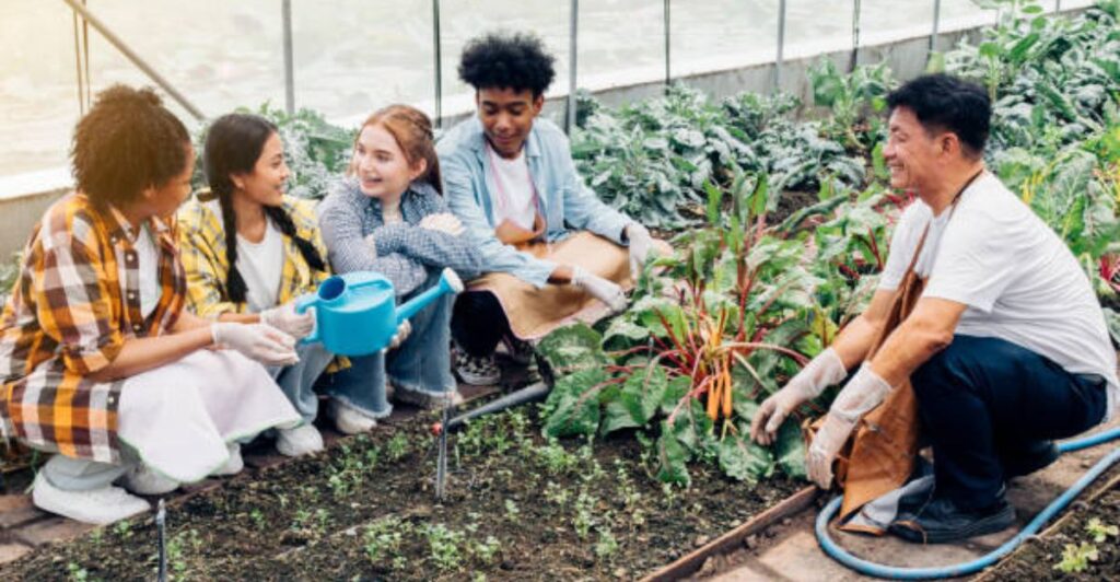 9 Fun Activities Kids Can Do in a School Kitchen Garden