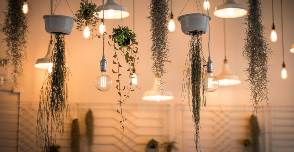 7 Smart Lighting and Color Tips to Create a Peaceful Home Atmosphere