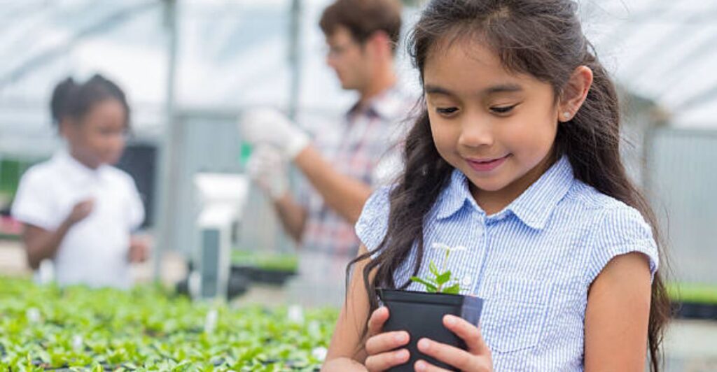 5 Easy School Kitchen Garden Layout Ideas for Beginners