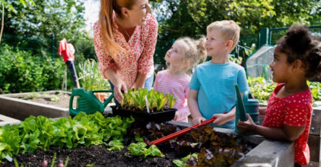 9 Fun Activities Kids Can Do in a School Kitchen Garden