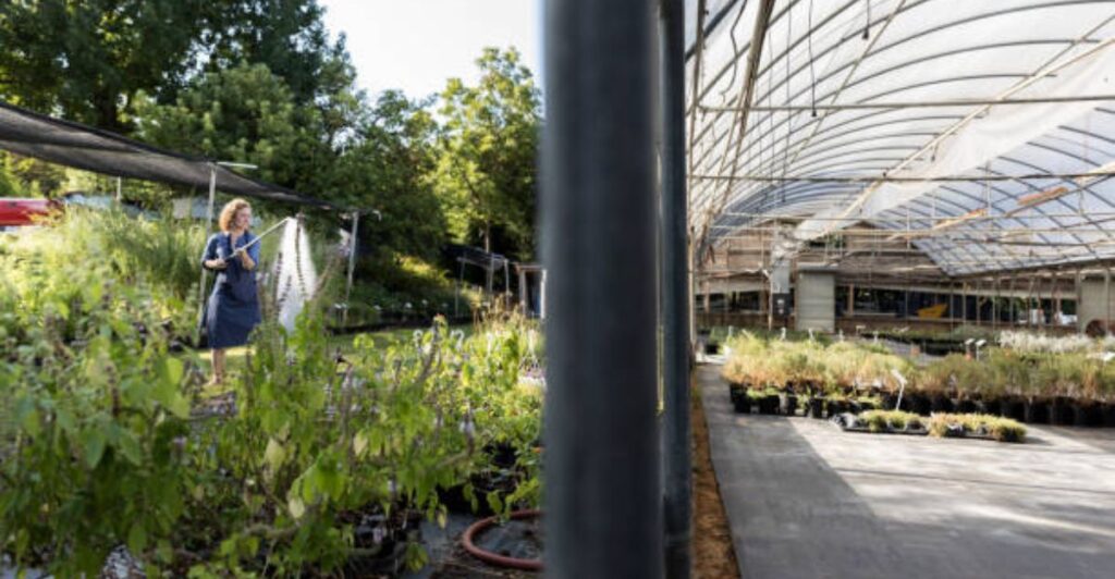 Time-saving organic gardening in summer with thriving vegetable plants and smart garden planning