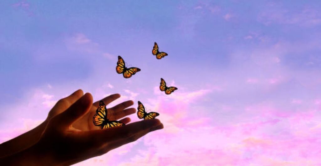 Colorful spoon butterfly decor arrangement on wall