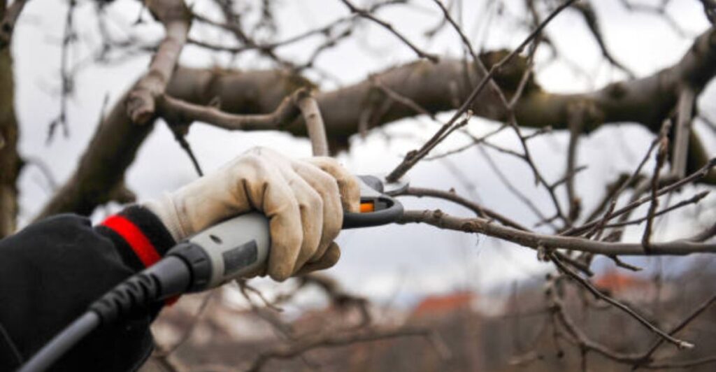 cordless electric pruning shears for garden cutting and trimming branches