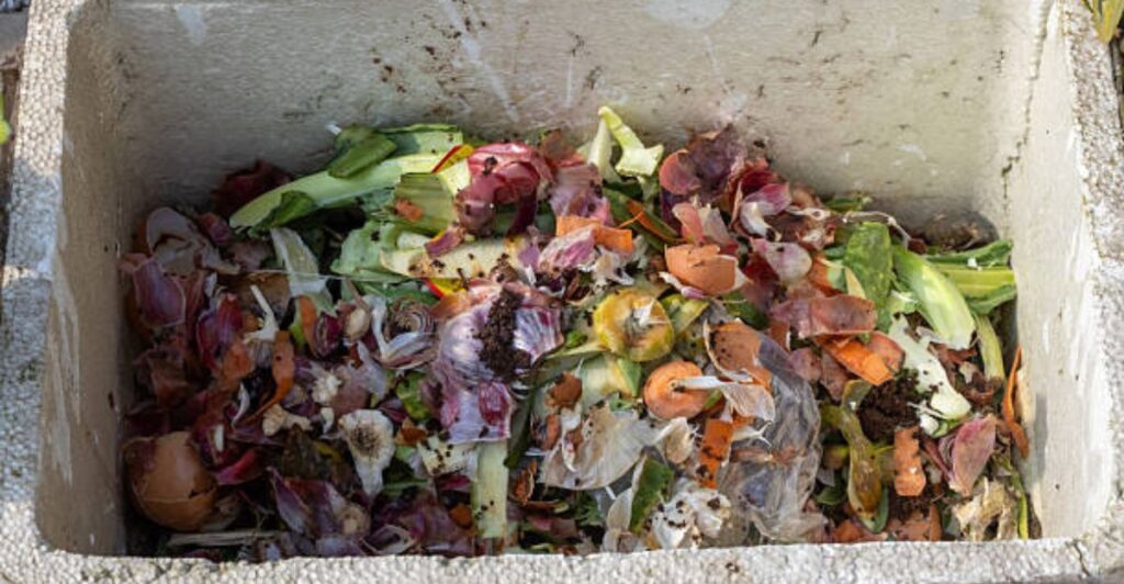 Easy organic fertilizers made at home for faster plant growth