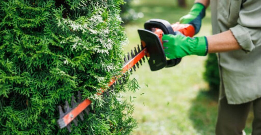 Top 10 battery-powered garden tools for hassle-free outdoor work