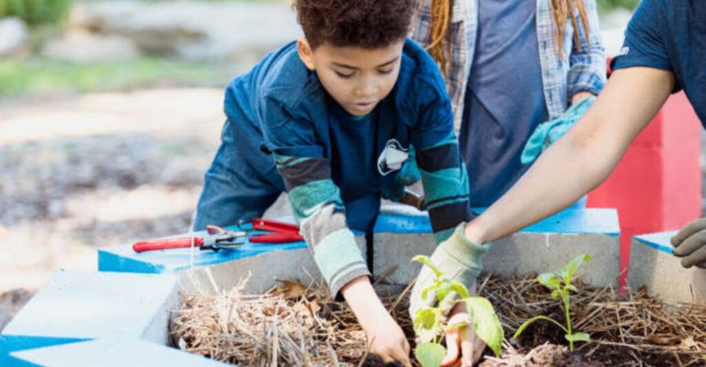 5 Easy School Kitchen Garden Layout Ideas for Beginners