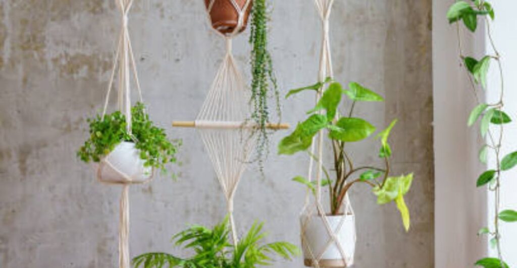 Discover 6 Inspiring Vertical Hanging Garden Styles for 2026!