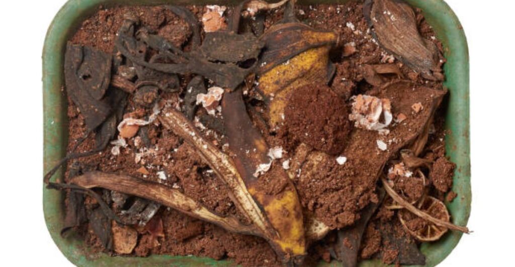 Best homemade organic fertilizer ideas for healthy garden plants