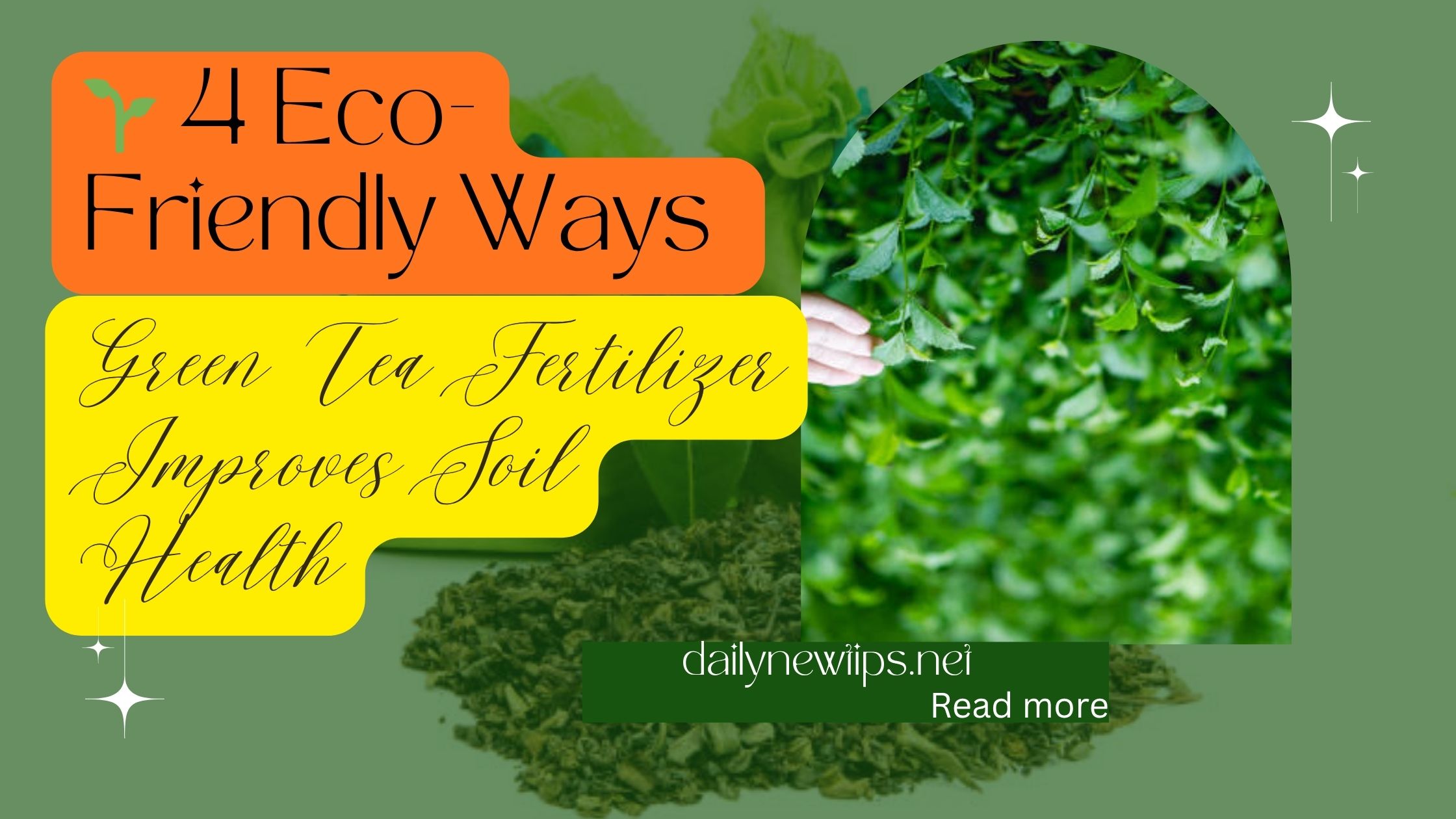 Eco-friendly green tea fertilizer boosting plant growth and soil nutrients