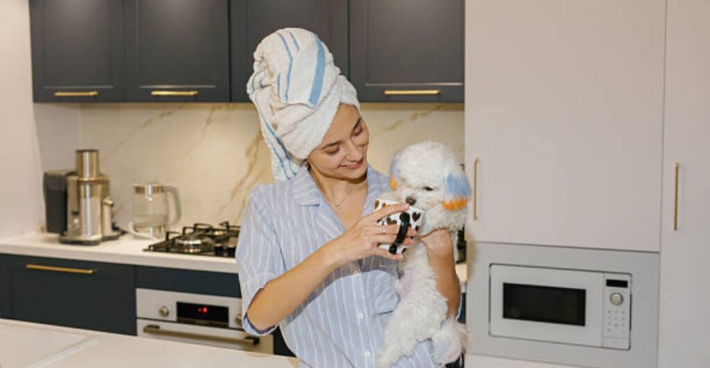 Busy pet parent following simple daily pet care routine at home