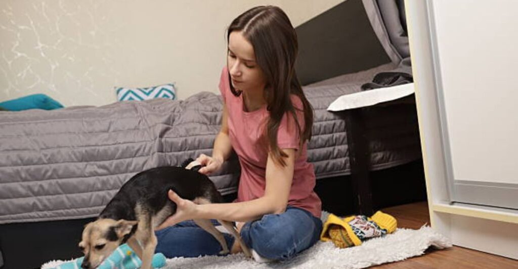 Pet owner feeding and grooming pet with minimal time effort