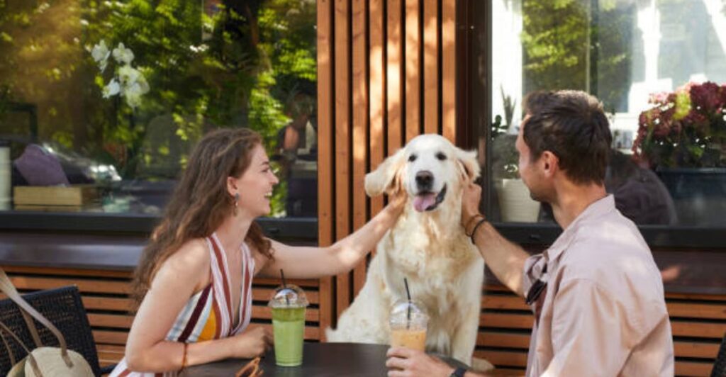 🐾 Trendy pet-friendly cafés welcoming pets and their owners in 2026