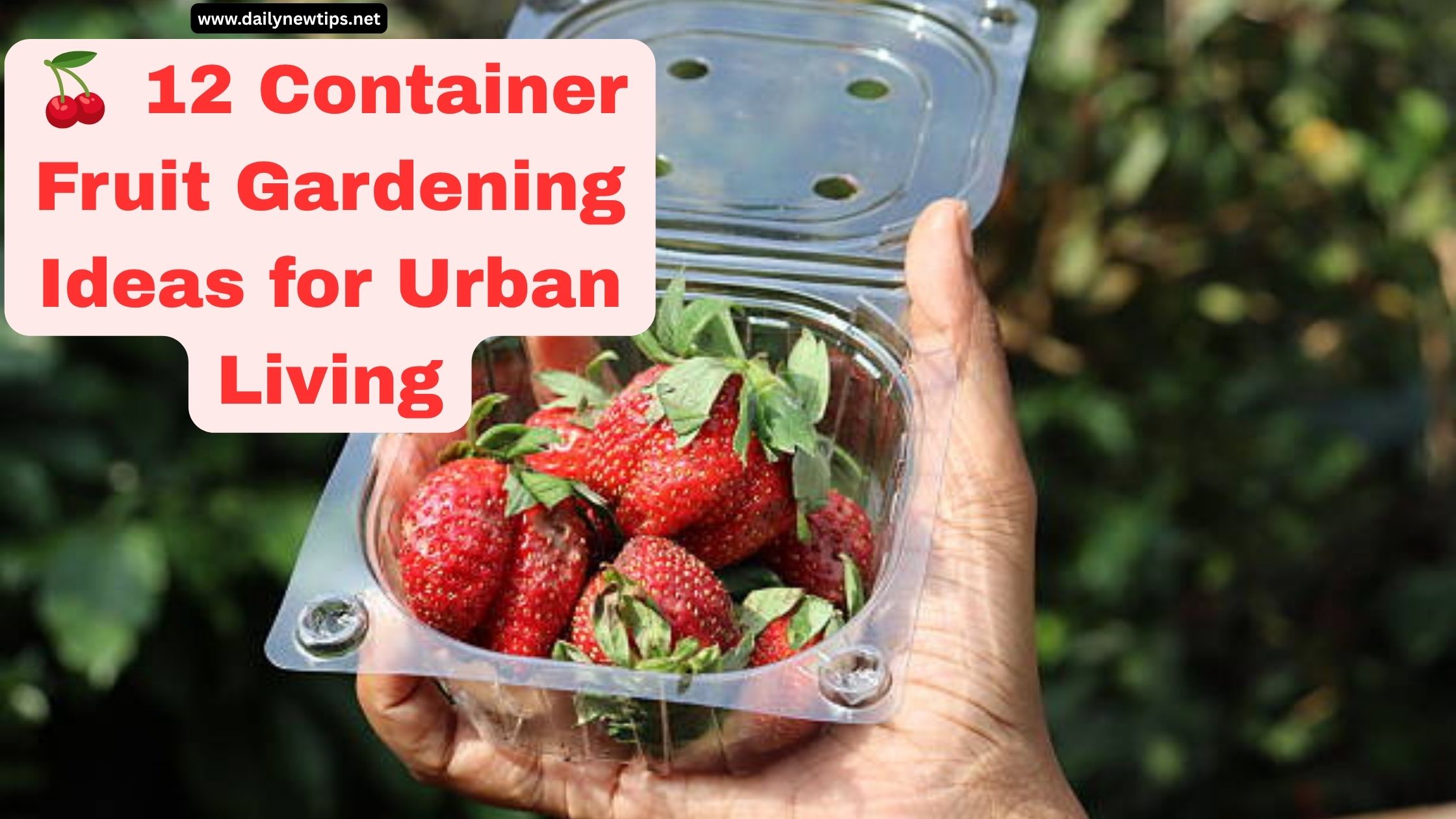 🍒 12 Container Fruit Gardening Ideas for Urban Living