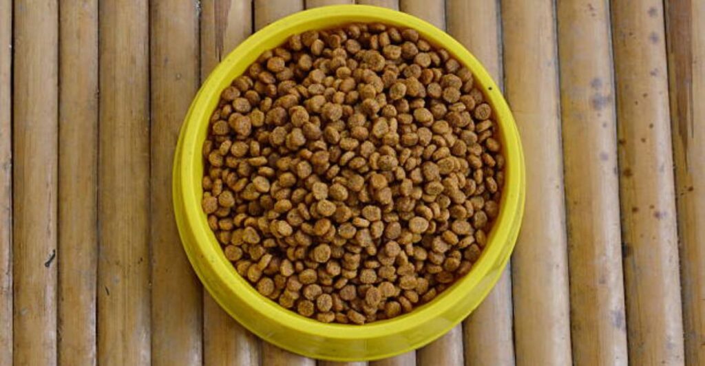 Lightweight bamboo pet bowl filled with dry food for a small dog indoors