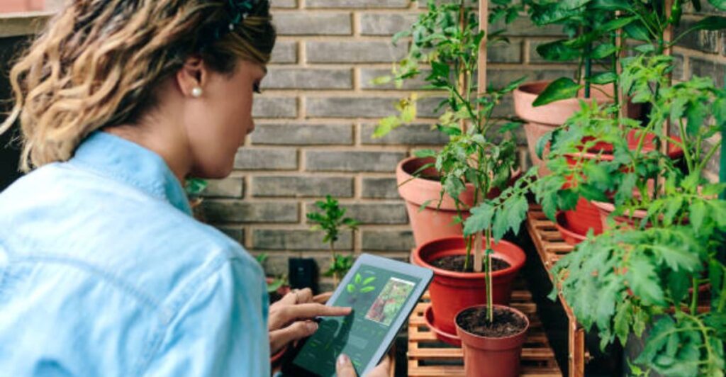 Smartphone scanning plant leaf using AI plant identification app
