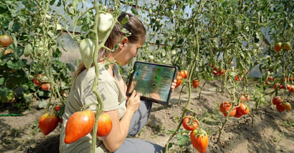 Digital plant care assistant app guiding new gardeners at home