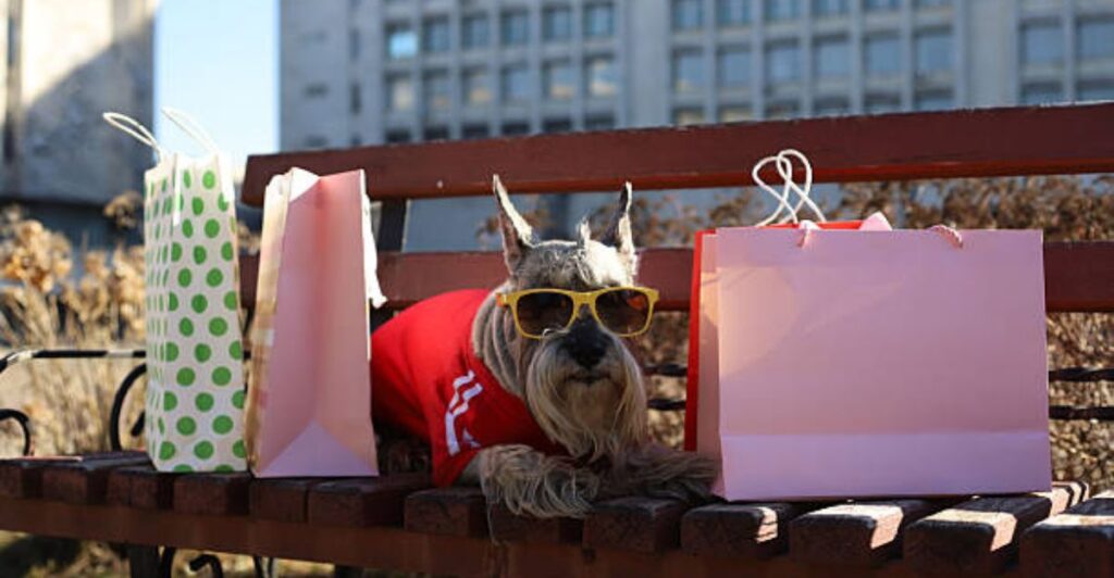 Sustainable dog accessories made from recycled materials arranged in a modern eco-friendly home
