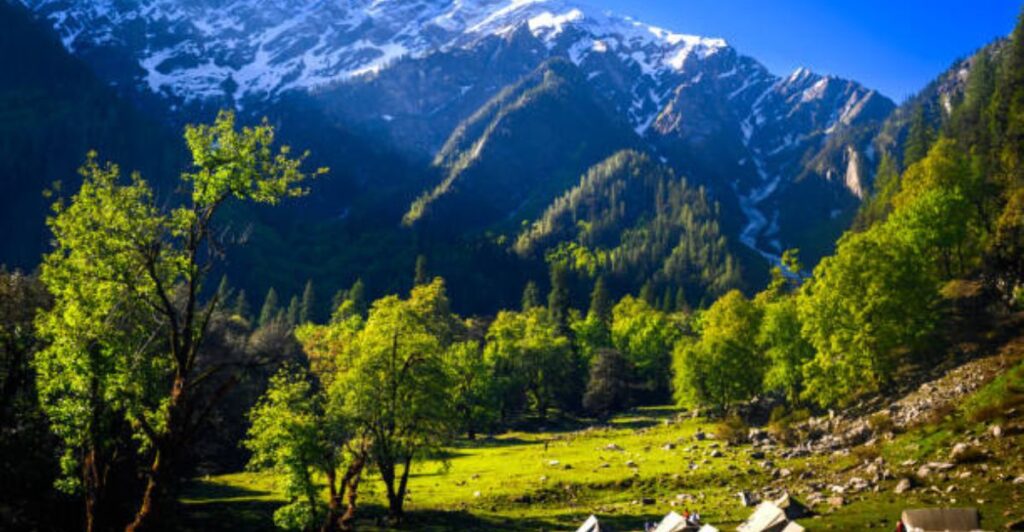 Snow-covered mountain peaks rising above a dense green forest during sunrise.