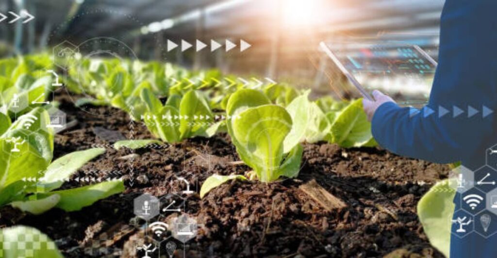 AI-powered plant care tools showing plant diagnosis and growth tips