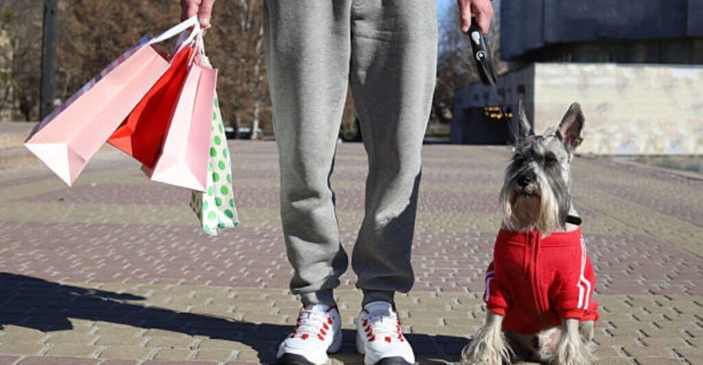 Biodegradable pet products including poop bags, hemp toys, and organic pet shampoo for eco-conscious pet owners
