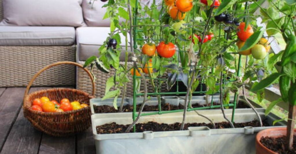 Traditional clay pot filled with cool water placed in a shaded corner of a home during summer.