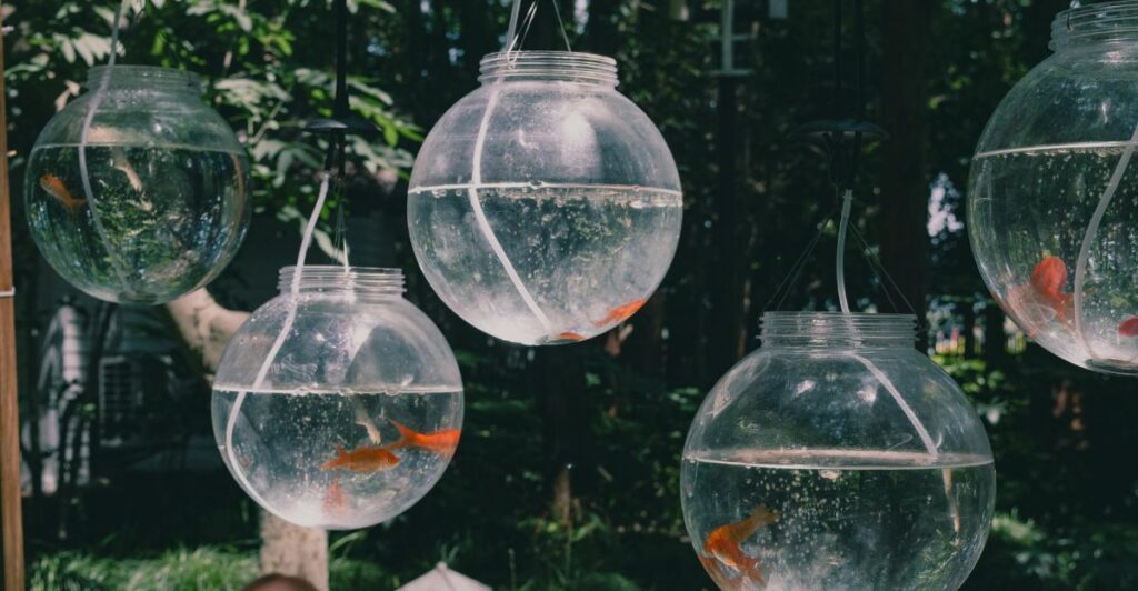 Aquarium-inspired decorative glass balls placed on a wooden coffee table in a peaceful modern living room.