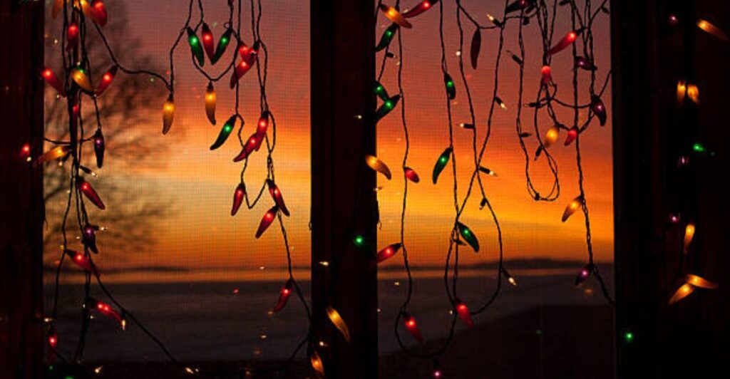 Outdoor patio decorated with solar string lights illuminating plants and seating area