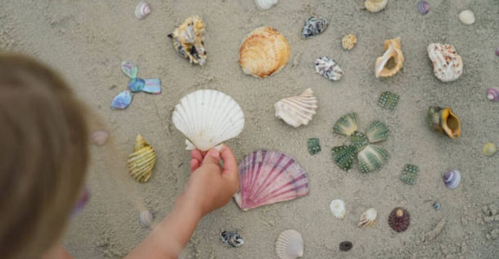 Seashell wind chime hanging outdoors with soft sunlight and ocean-inspired decorations.