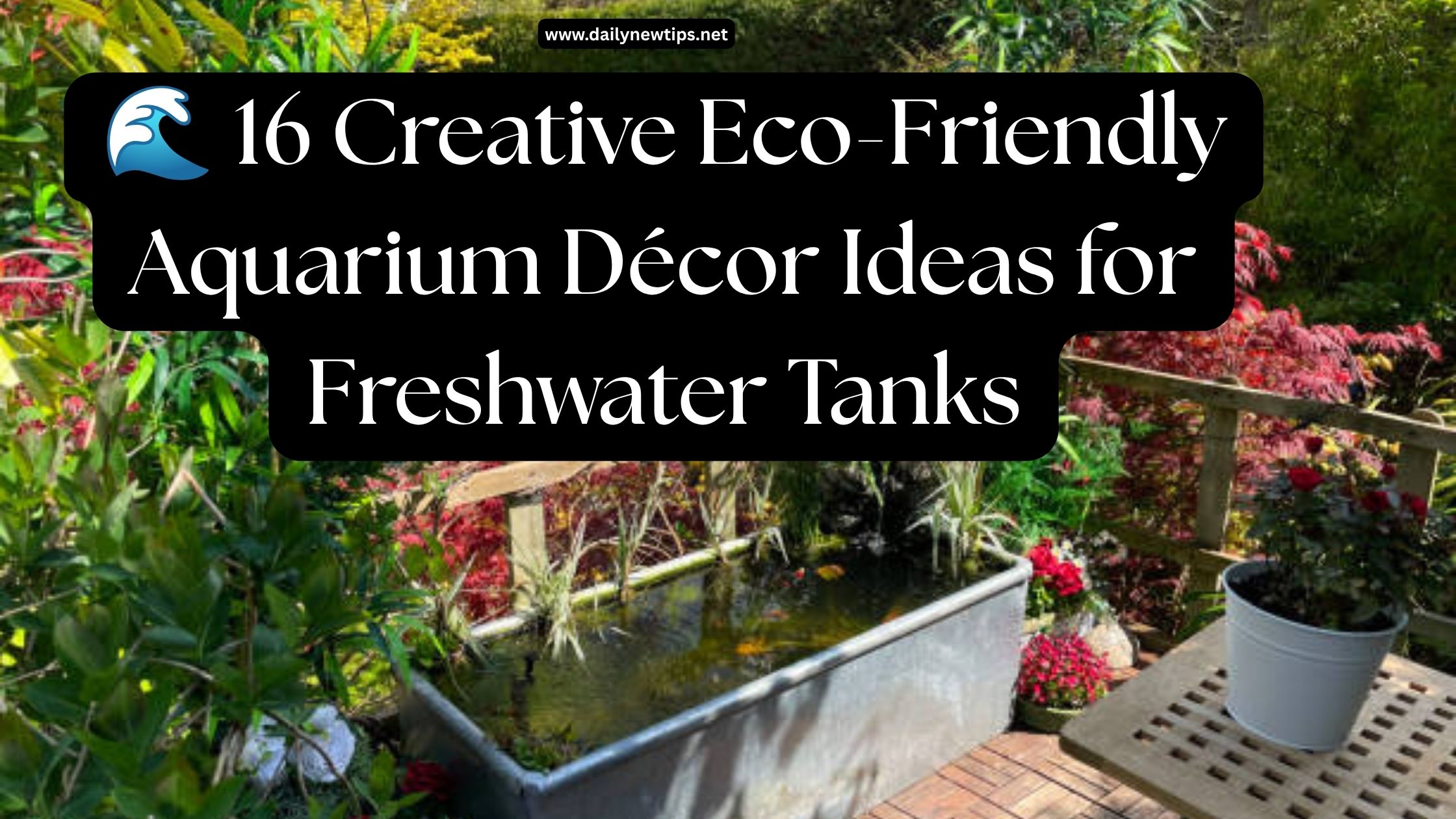🌊 16 Creative Eco-Friendly Aquarium Décor Ideas for Freshwater Tanks