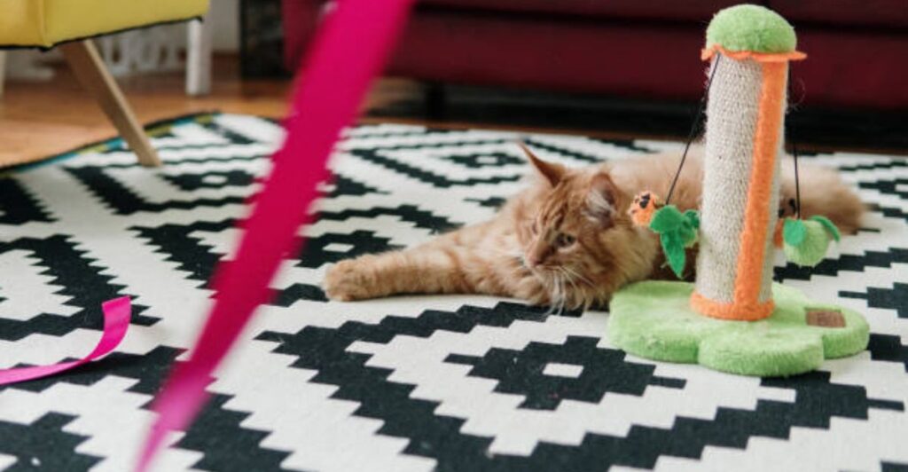 Colorful DIY pet cushion with handmade fabric toys for cats and dogs.