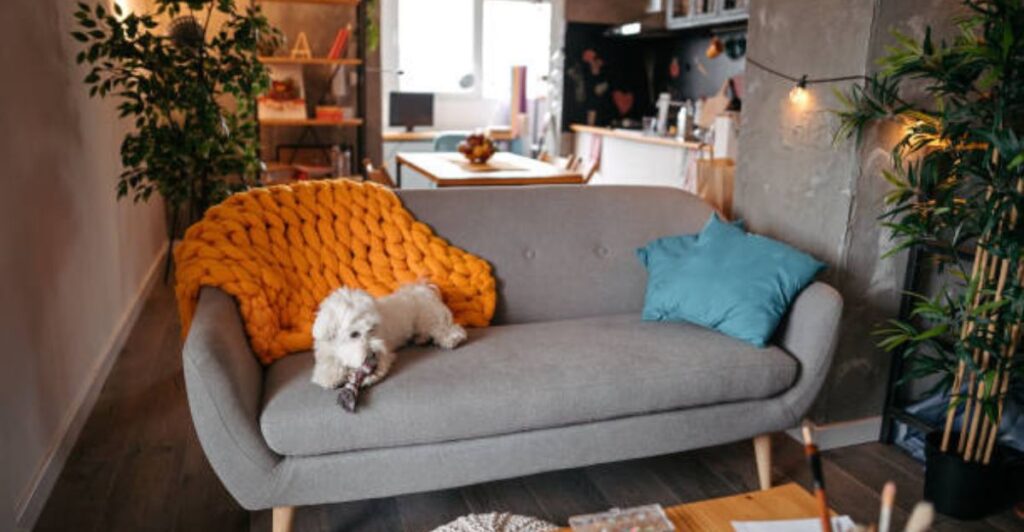 DIY handmade pet toys and cozy cushions arranged in a creative home setup for pets.