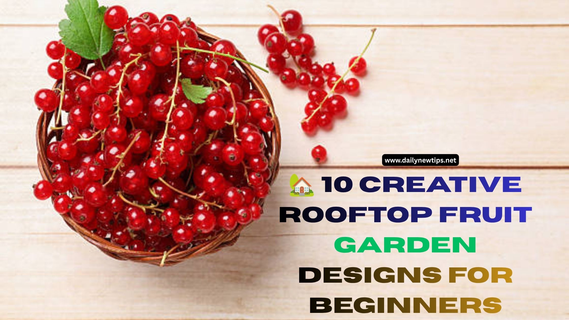 🏡 10 Creative Rooftop Fruit Garden Designs for Beginners