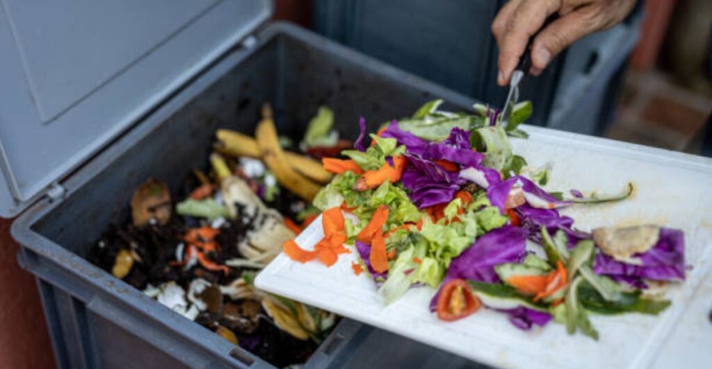 Rotten vegetables being layered into a backyard compost bin to create nutrient-rich homemade compost.