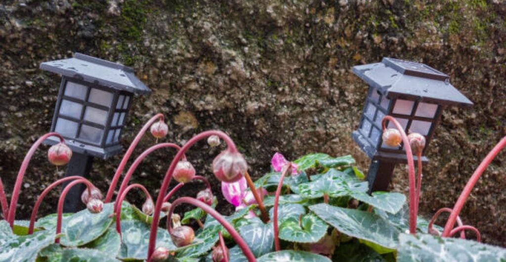 Small garden pathway decorated with vintage-style solar lanterns and neatly arranged flowering plants.